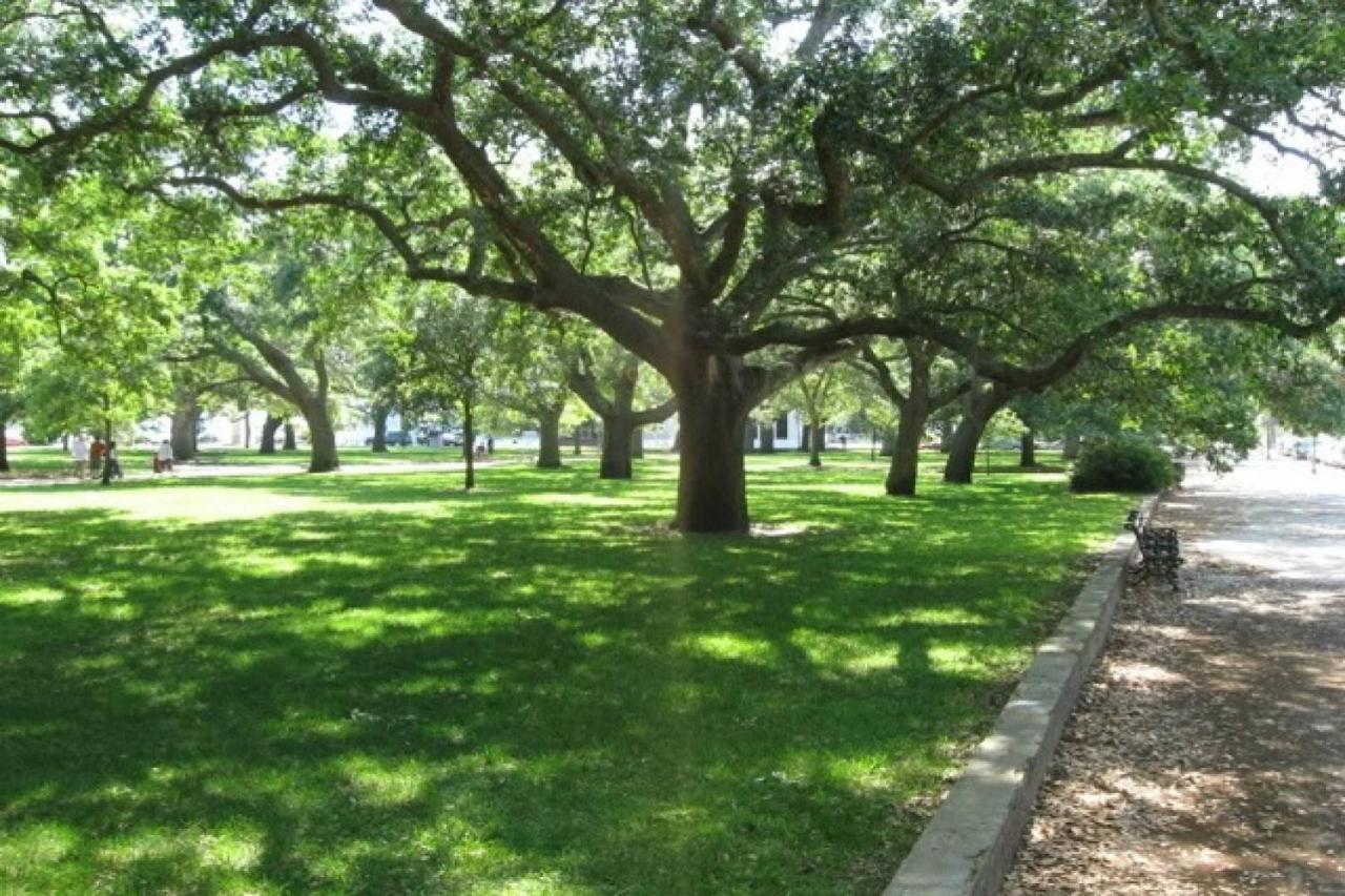 Celtic Charleston