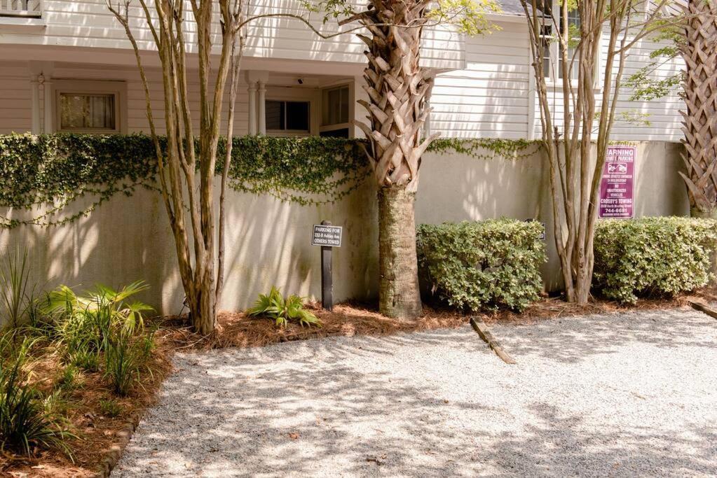 Apartment Elegant Sunlit With Private Rooftop Oasis Charleston