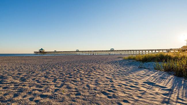Amazing, Oasis, Mins From The And Charleston, Free Wine Apartment *