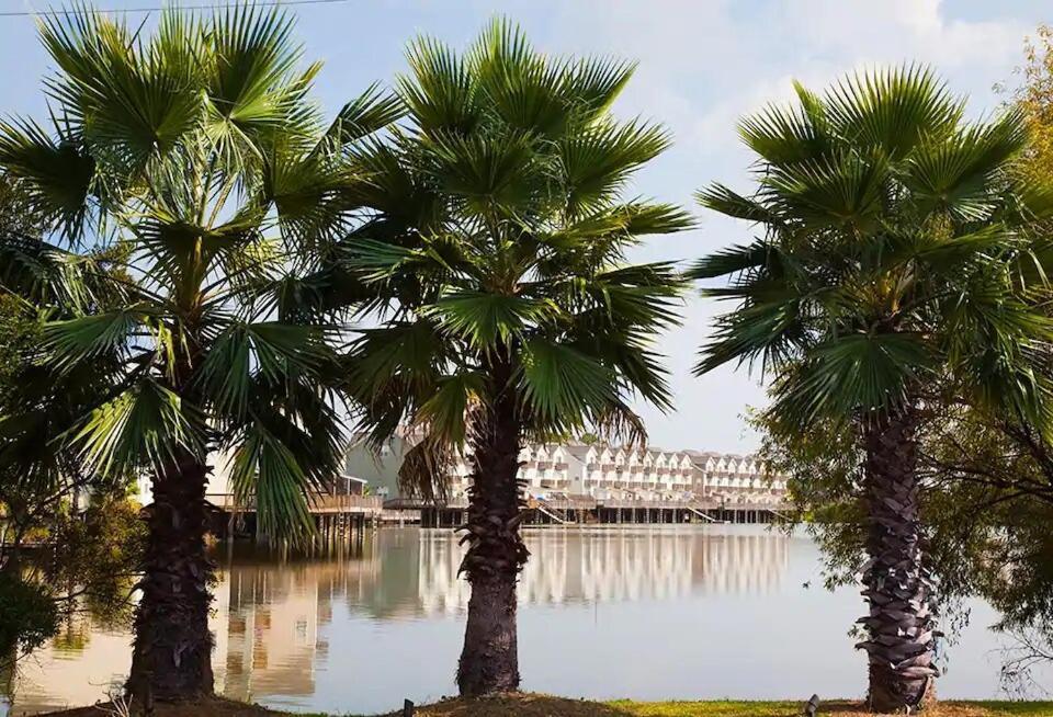 Holiday home Sunset Serenity!!-tropical Waterfront Oasis-huge Private Patio-10min To Kingst & Beaches